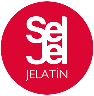 Seljel Seljel logosu